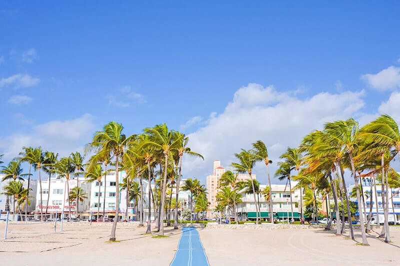 Palme e sabbia a Miami Beach (USA)