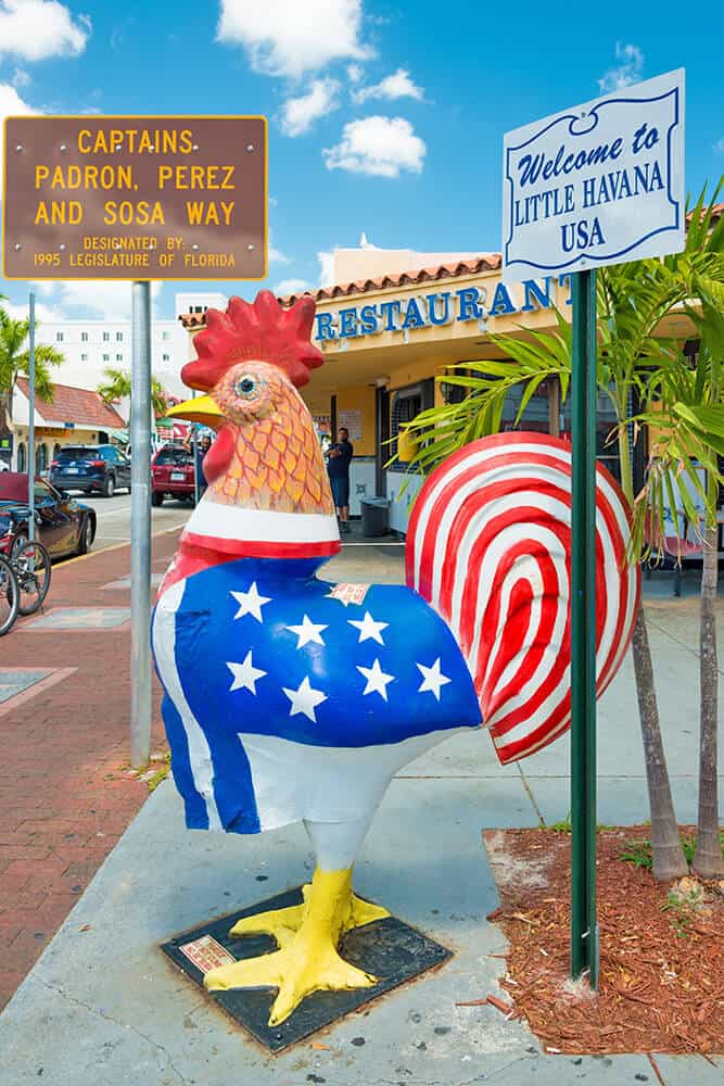 Scultura del gallo a Little Havana (Miami)