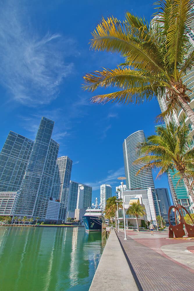 Grattacieli e palme tropicali a Downtown Miami