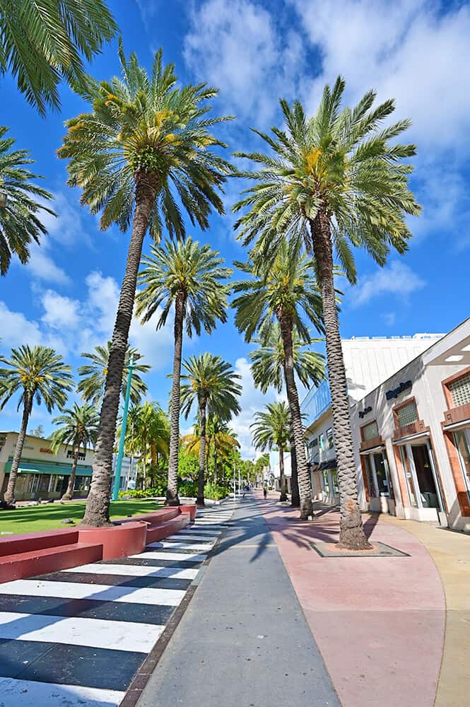Palm trees at Lincoln Mall Road (Miami)