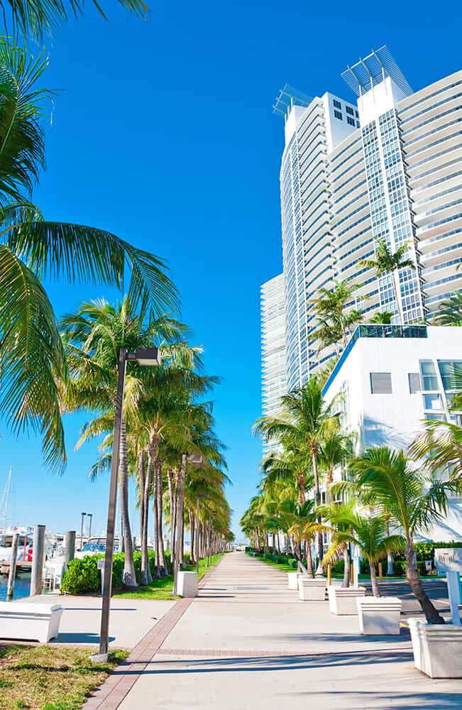 Palms and skyscrapers at Maurice A Ferrè park in Miami