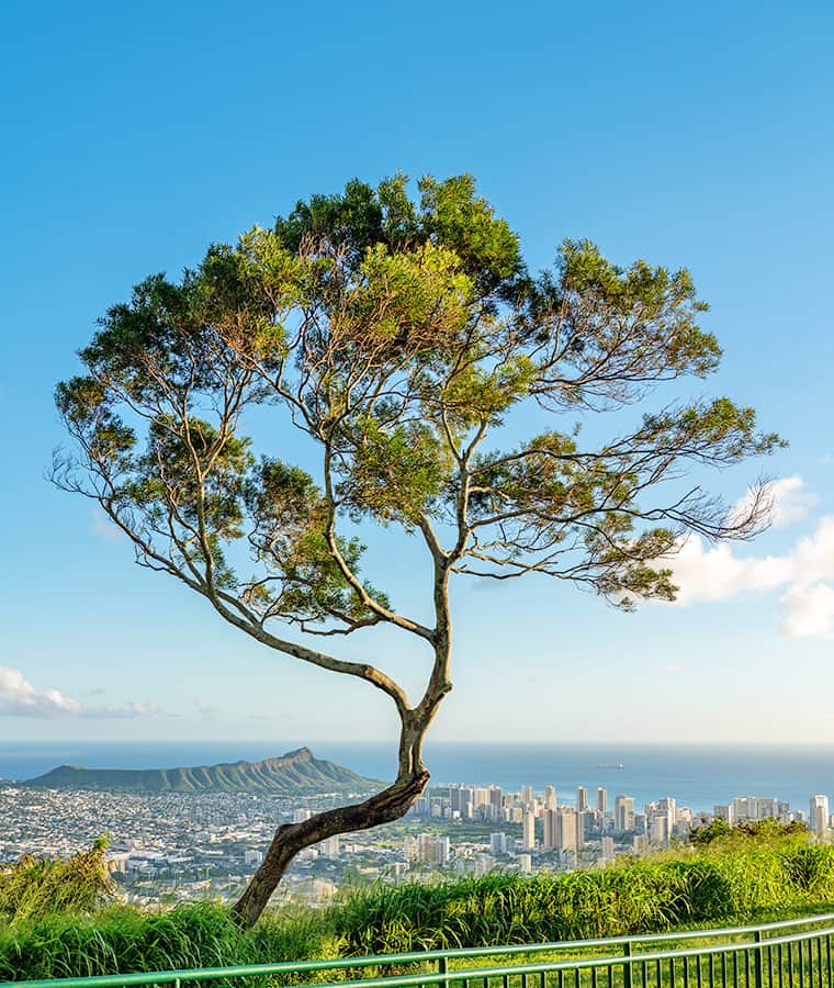 View from Tantalus Lookout