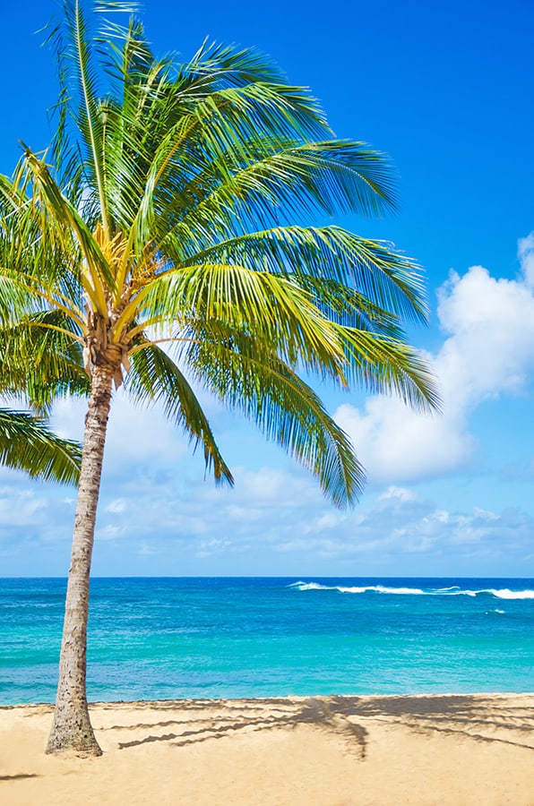 Spiaggia da sogno a Oahu, Hawaii