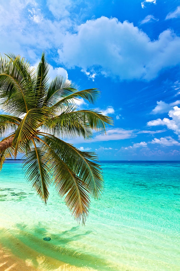 Turquoise water and dream beach in Oahu