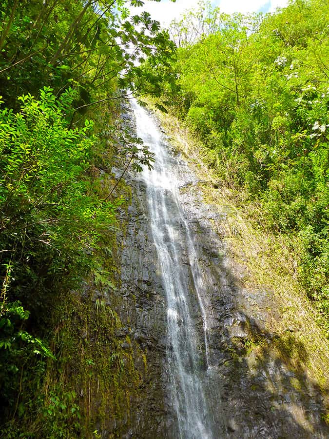 Vista della cascata a Manoa Falls (Oahu)