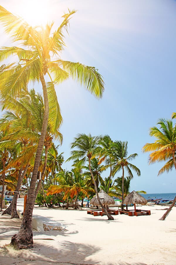 Dream beach in Oahu