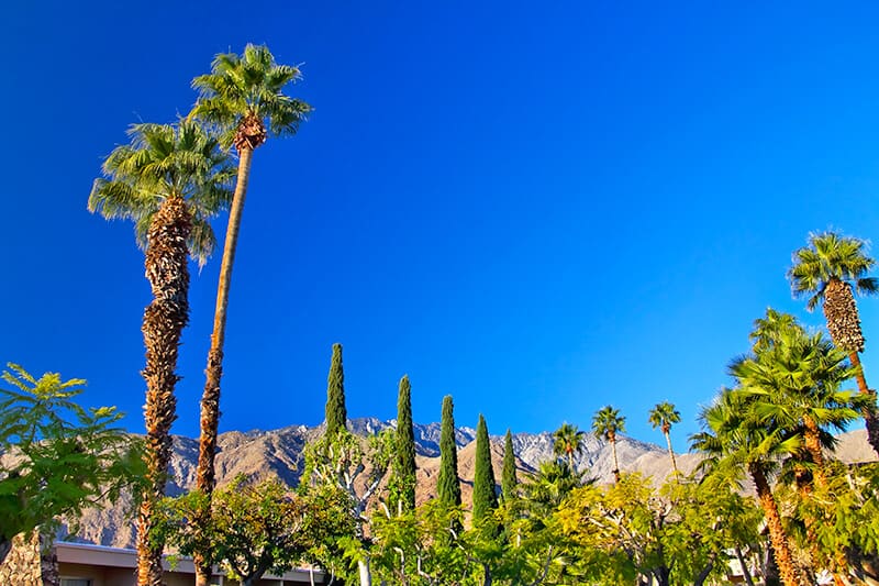 Desert landscape around Palm Springs