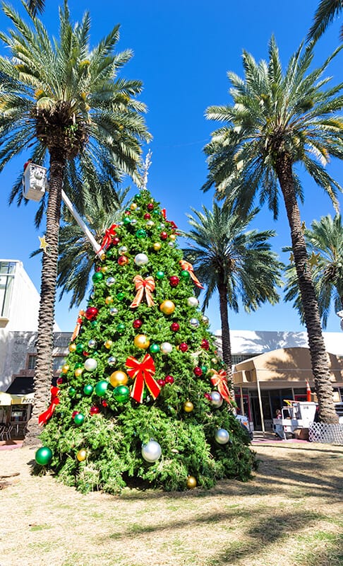 Christmas tree at Miami Beach (Florida)