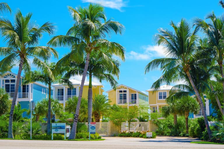 Colorful houses and palms in Key West (Fl)