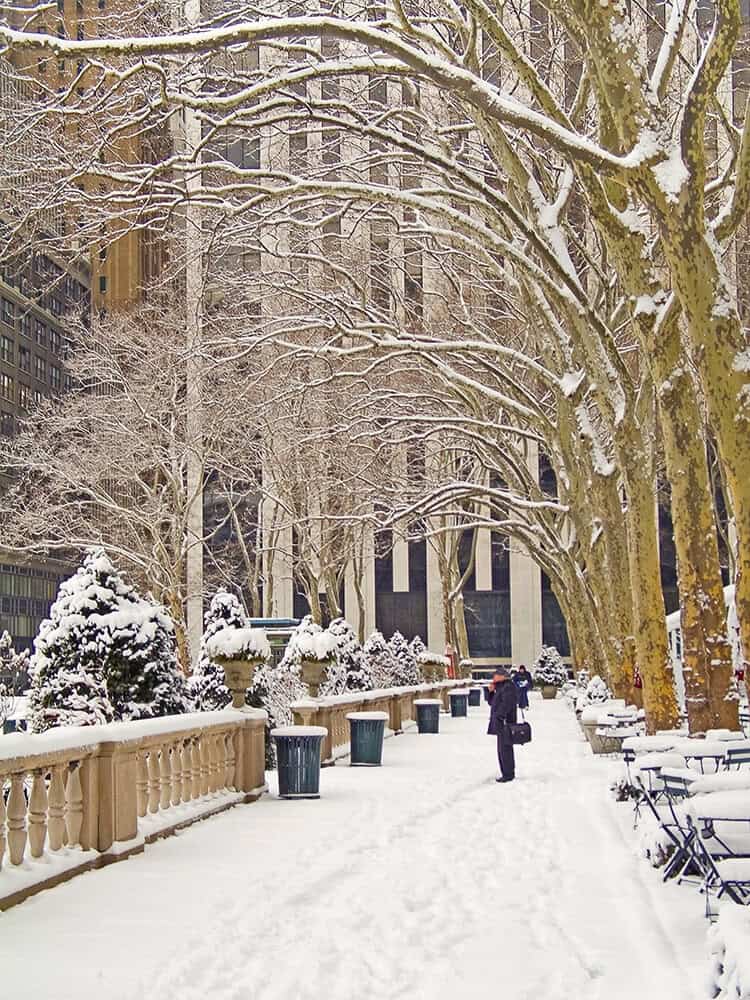 Bryant Park in Winter