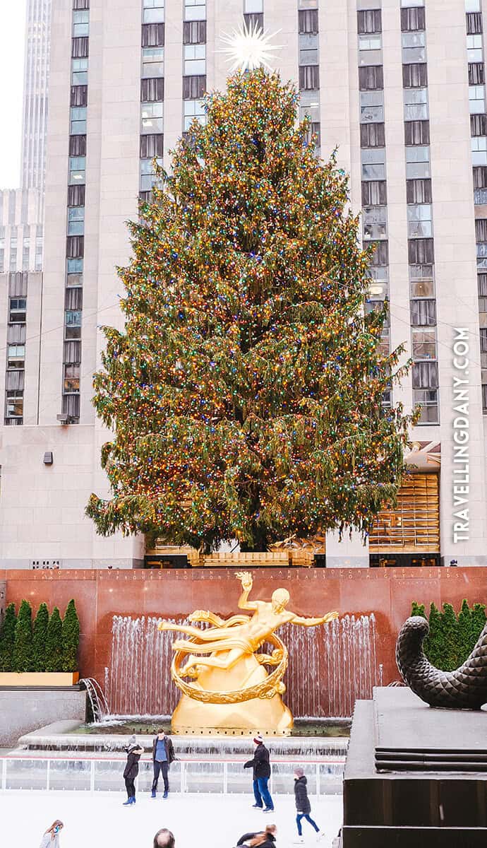 Christmas tree at Rockefeller Center NYC