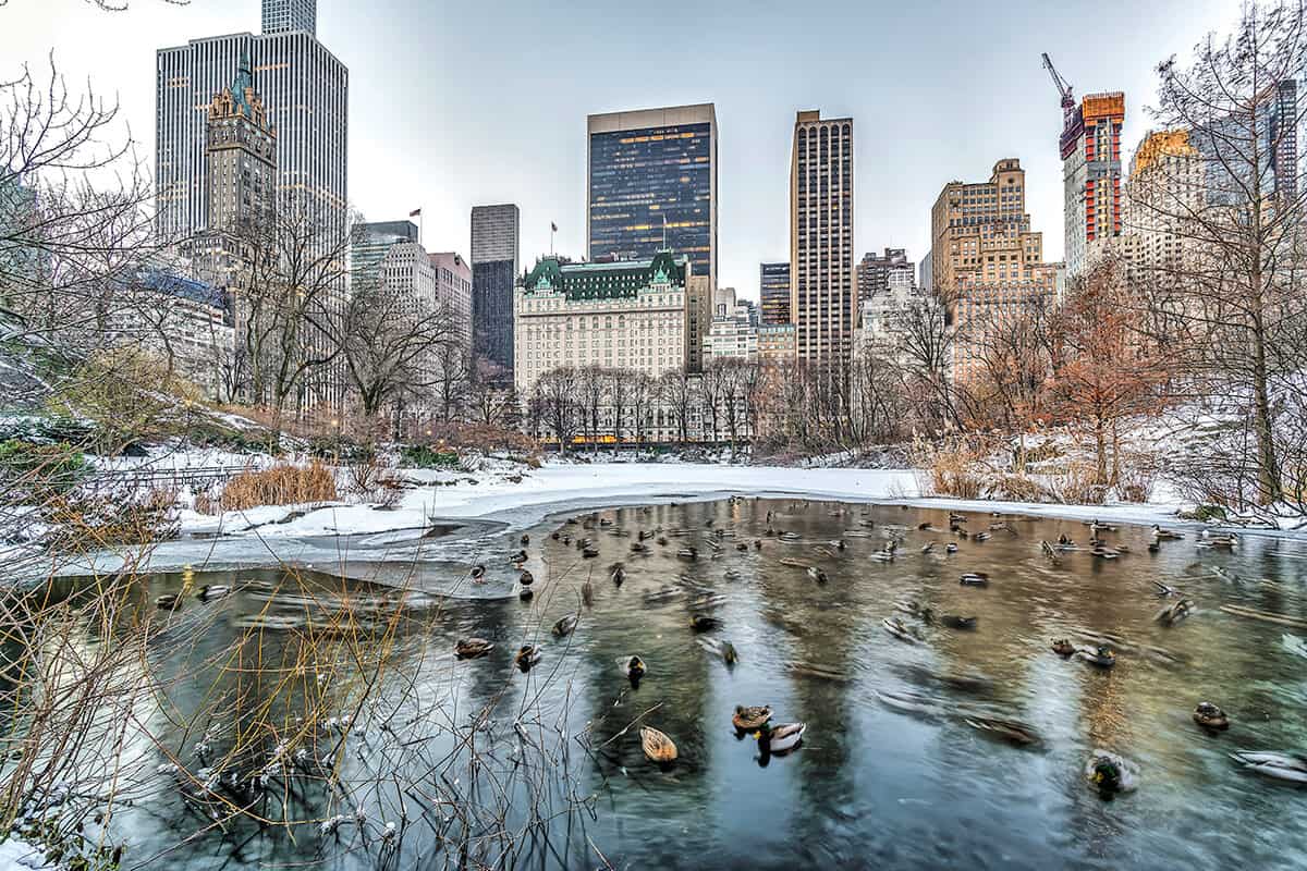 The Plaza NYC in winter from Central Park